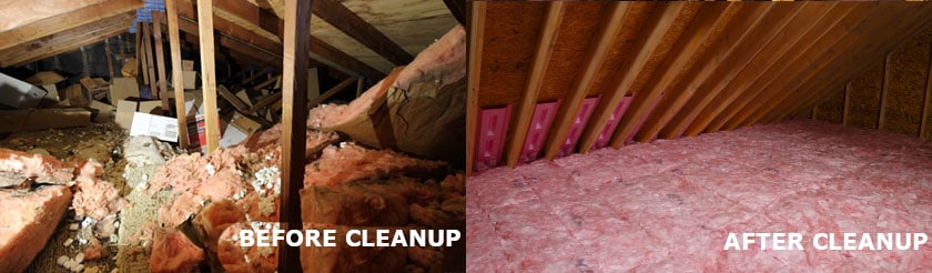 ceiling-vacuum-cleaning